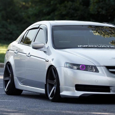 Lighting Trendz 2004-2008 Acura TL Halo LED Kit - Custom