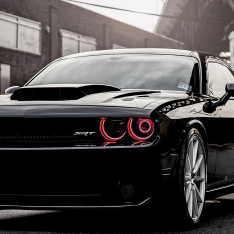 Lighting Trendz 2008-2014 Dodge Challenger RGB Halo w/BT Controller