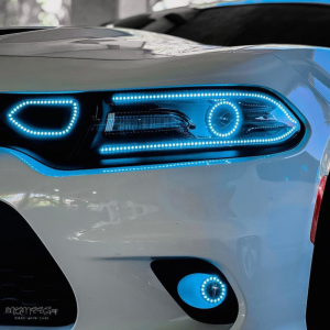 Lighting Trendz: Lighting Trendz 2015-2024 Dodge Charger Fog Outline Halo LED Kit - Custom Lighting Trendz: Lighting Trendz 2015-2024 Dodge Charger Fog Outline Halo LED Kit - Custom